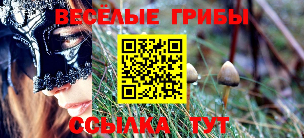 Меф кристаллы  Канабис  Гашиш  Вход с VPN  Cocaine  Острогожск  ГАШИШ 